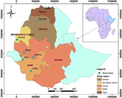 Adaptability and stability for soybean yield by AMMI and GGE models in Ethiopia